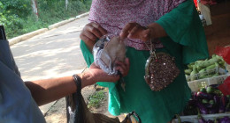 masker01